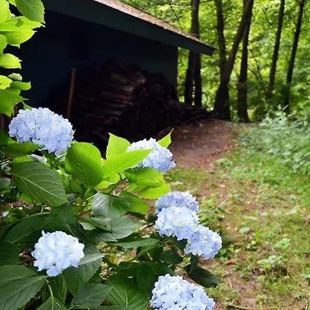 L'etang Du Sabotier Prázdninový dům *